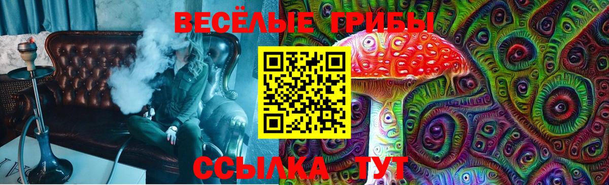 Галлюциногенные грибы Psilocybe  Псилоцибиновые грибы прущие грибы  Сатка  Вход с VPN 